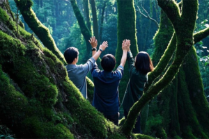 【滇西南秘境】沧源翁丁村-哀牢山-景迈山-鲁史古镇-普洱-翁基古寨-石门峡-古墨村-巍山古城8天深度游