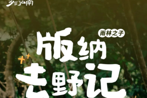 雨林之子·版纳去野记｜5日｜全网独家升级路线，版纳&普洱两地解散+雨林秘境+曼听公园+野象谷+傣族园+中科院植物园