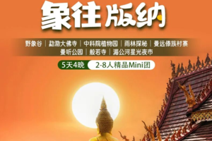 【象往版纳】野象谷｜勐泐大佛寺｜中科院植物园｜雨林探秘｜曼远傣族村寨｜曼听公园｜般若寺｜湄公河星光夜市｜5天精品Mini