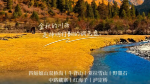 【大美四牛】半山彩林半山雪