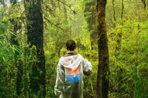 2025-2026 秘境哀牢山 | 昆明 哀牢山 元阳梯田 建水古城 5日活动