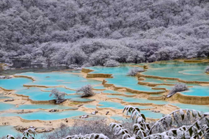 25年冬【全景阿坝】毕棚沟/羊茸哈德/达古冰川/九寨沟/黄龙/四姑娘山6日游