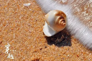 遇见山海【海螺角海岸线】徒步海螺角、捡海螺，过巨石阵，逐浪花朵朵