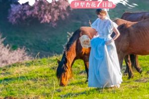 2026【童话新疆·春满天山7日】小车游-赛里木湖+伊犁杏花
