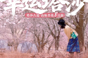 2026【童话新疆-杏运塔莎8日】小车游-帕米尔杏花+塔莎古道