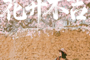 2026【童话新疆-花开木吉8日】小车游-帕米尔杏花+木吉乡