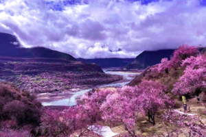 【滇藏桃花·珠峰大本营】林芝桃花-梅里雪山-墨脱-来古冰川-鲁朗小镇-然乌湖-羊卓雍措-珠峰大本营-札什伦布寺12天深度