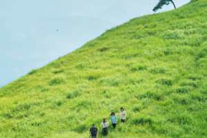 特价299元起！每周五晚出发【绿色武功山】赏超级云海：向云端高山草甸，草木界小阿勒泰2日3晚