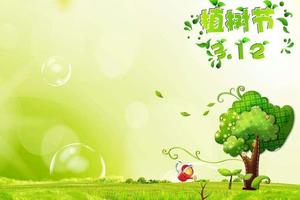 金华市长跑协会植树节10公里健身跑