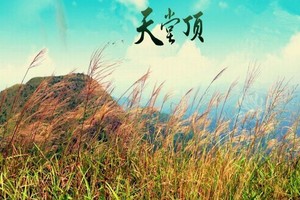 特价59元从化十登登广州第一峰天堂顶海拔1210米爬山挑战唱征服歌一天