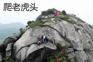 特价59元【从化十登之老虎头】登高山赏奇石 齐齐摸老虎头 行走天地线，问鼎老虎头之巅！爬山一天