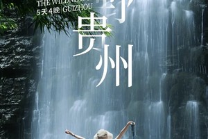 旷野贵州 | 贵州茂兰漏斗森林+四洞天穿越+猴子沟+螺丝壳徒步5日