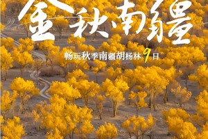 【童话新疆·金秋南疆9日】罗布人村寨、塔里木胡杨林、库车老城、喀什古城、盘龙古道、石头城&金草滩、胡杨林特辑9日