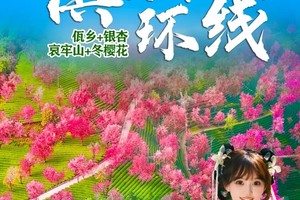 【滇西南环线】昆明-诺邓古村-银杏村-和顺古镇-瑞丽-芒市-沧源翁丁-千年崖画-景迈山-咖啡庄园-哀牢山-无量山樱花10