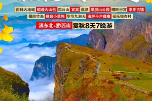 【昭黔秋色】昆明-雨碌大地缝-昭通大山包-盐津-宜宾-李庄古镇-蜀南竹海-小草坝-毕节九洞天-千户彝寨-妥乐银杏村8日游