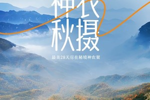 【神农秋摄】4天3晚 走进原生态的神农架斑斓之秋