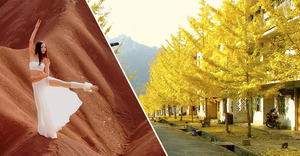 特价299元南国之秋 韶关南雄银杏之乡-秋天的童话赏帽子峰最美银杏黄金大道+东华禅寺祈福+行摄南岭红沙漠两天游