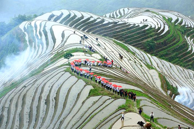 (1)高铁出发徒步醉美龙胜龙脊梯田 感受瑶族风情 日出日落 美食美景 两天两夜-户外活动图-驼铃网