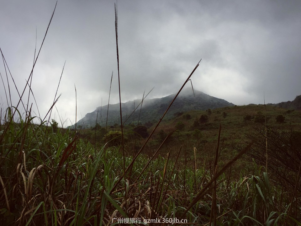 0b86a83473a3ec476ba4a8f904133f2a_org