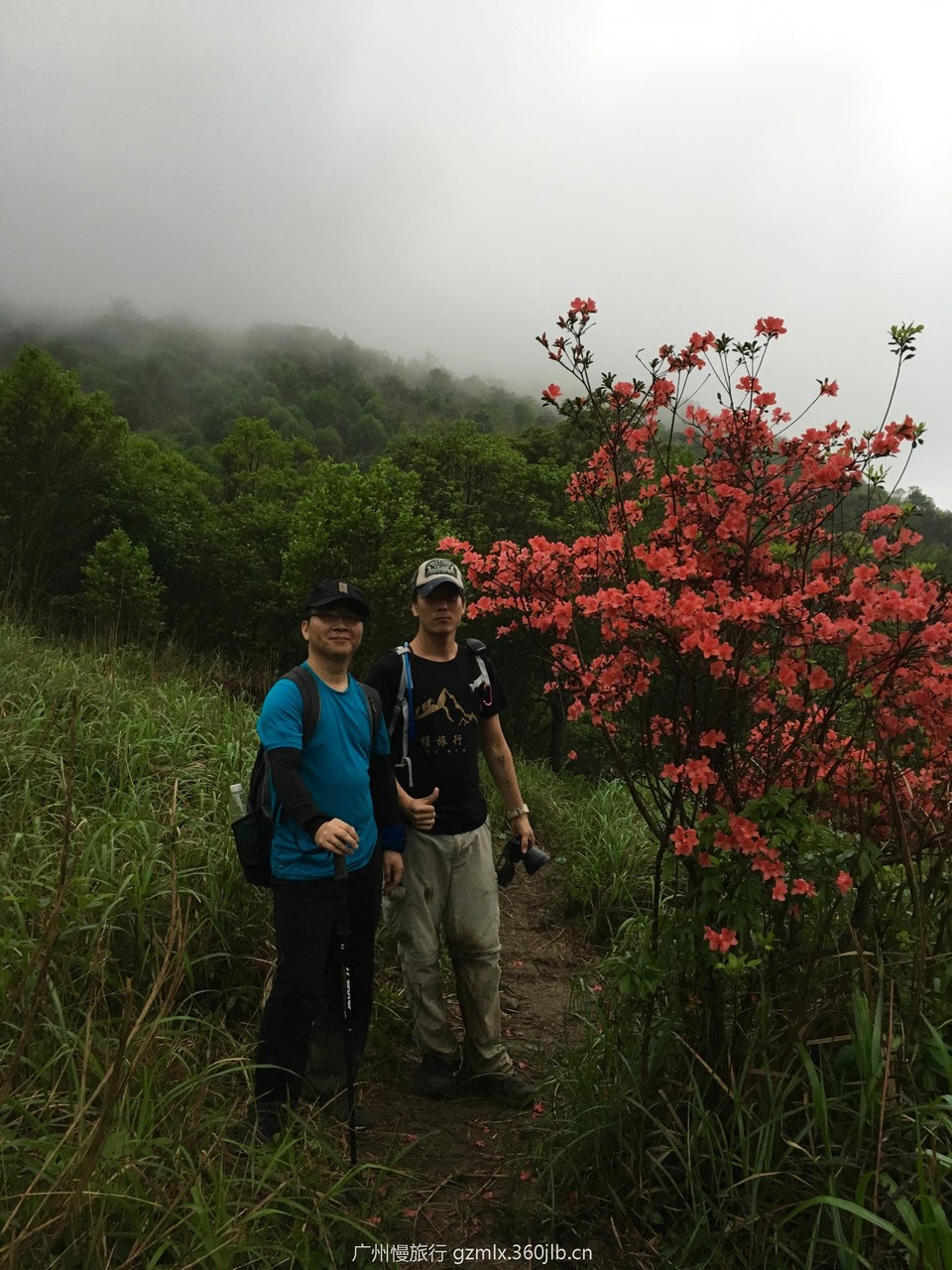 0be03d50e639fbe5d1cff11a65dd8b23_org