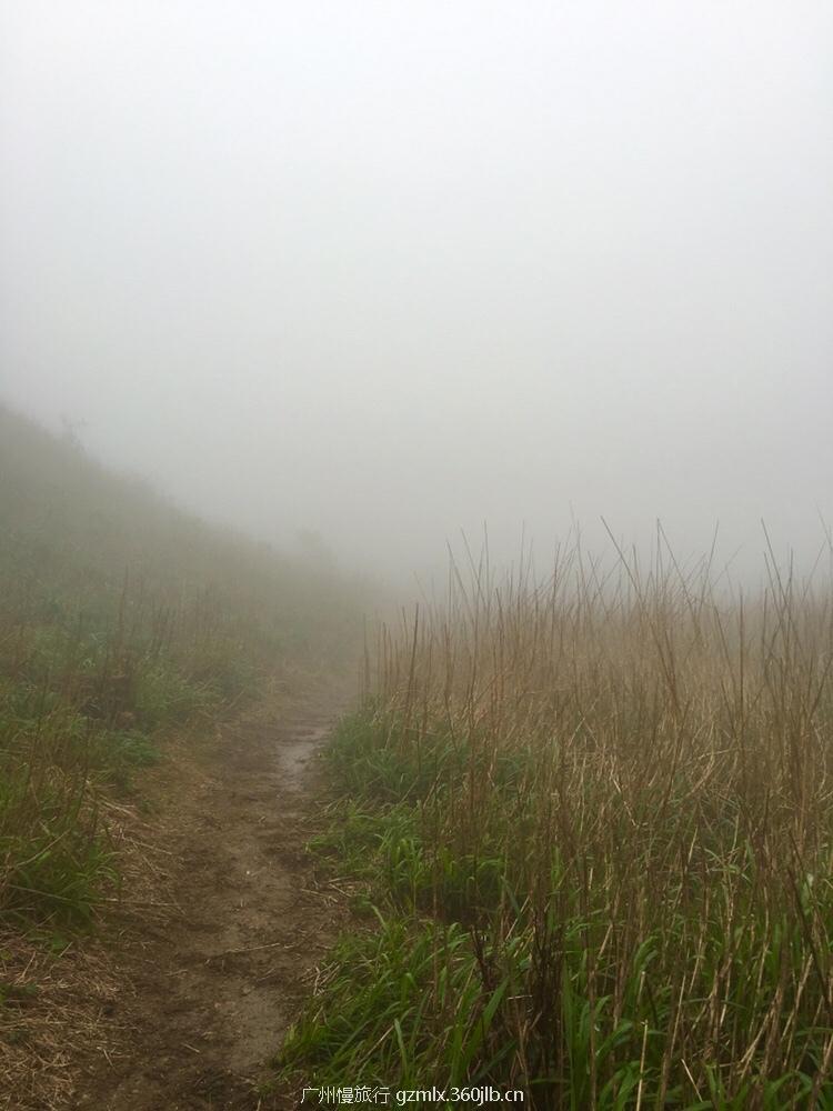 0d1bd2a8c714c66abb5598bab2929d67_org