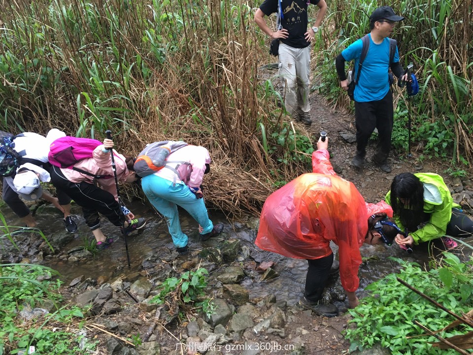 0d74726204a564bfc801e400fd9ad884_org