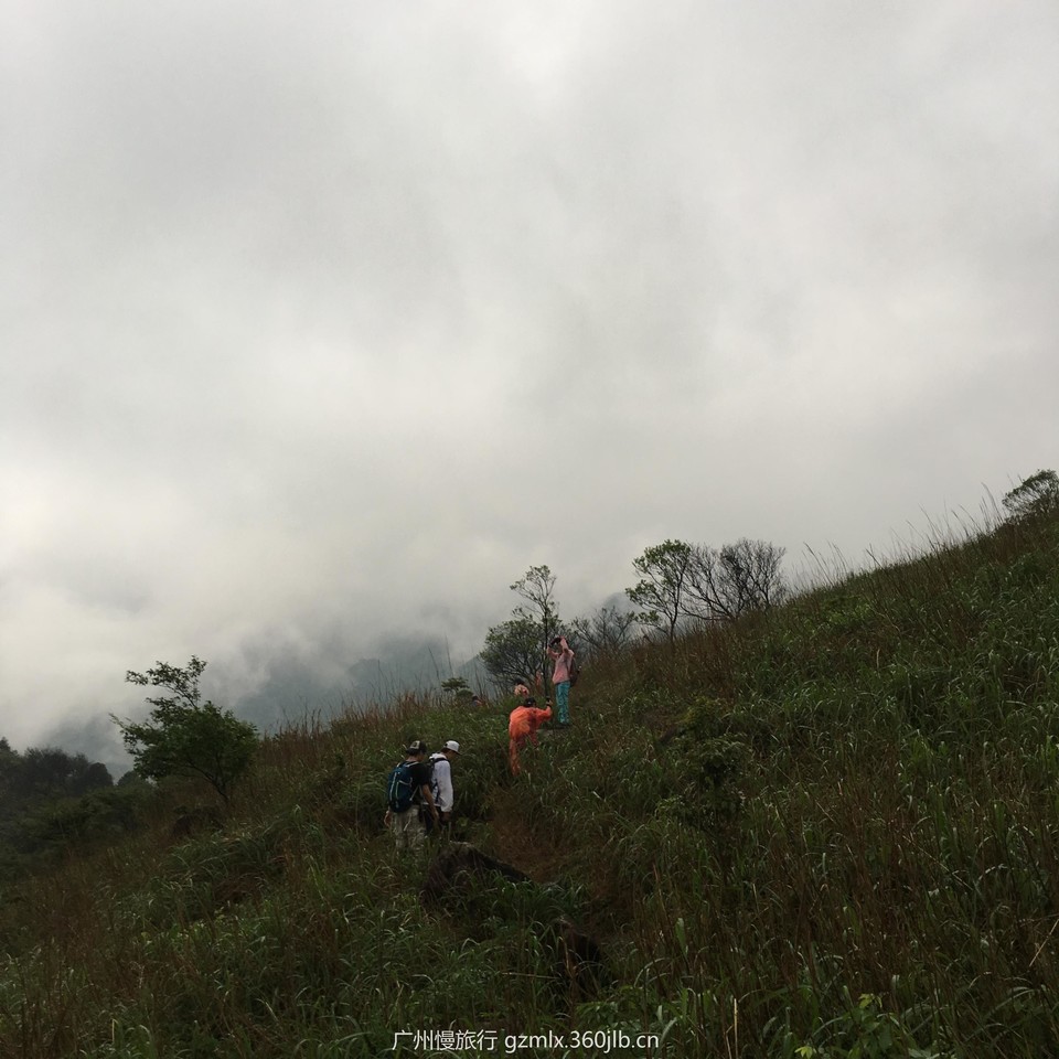 0f138e0487a667e9148bd2ebd528aa11_org