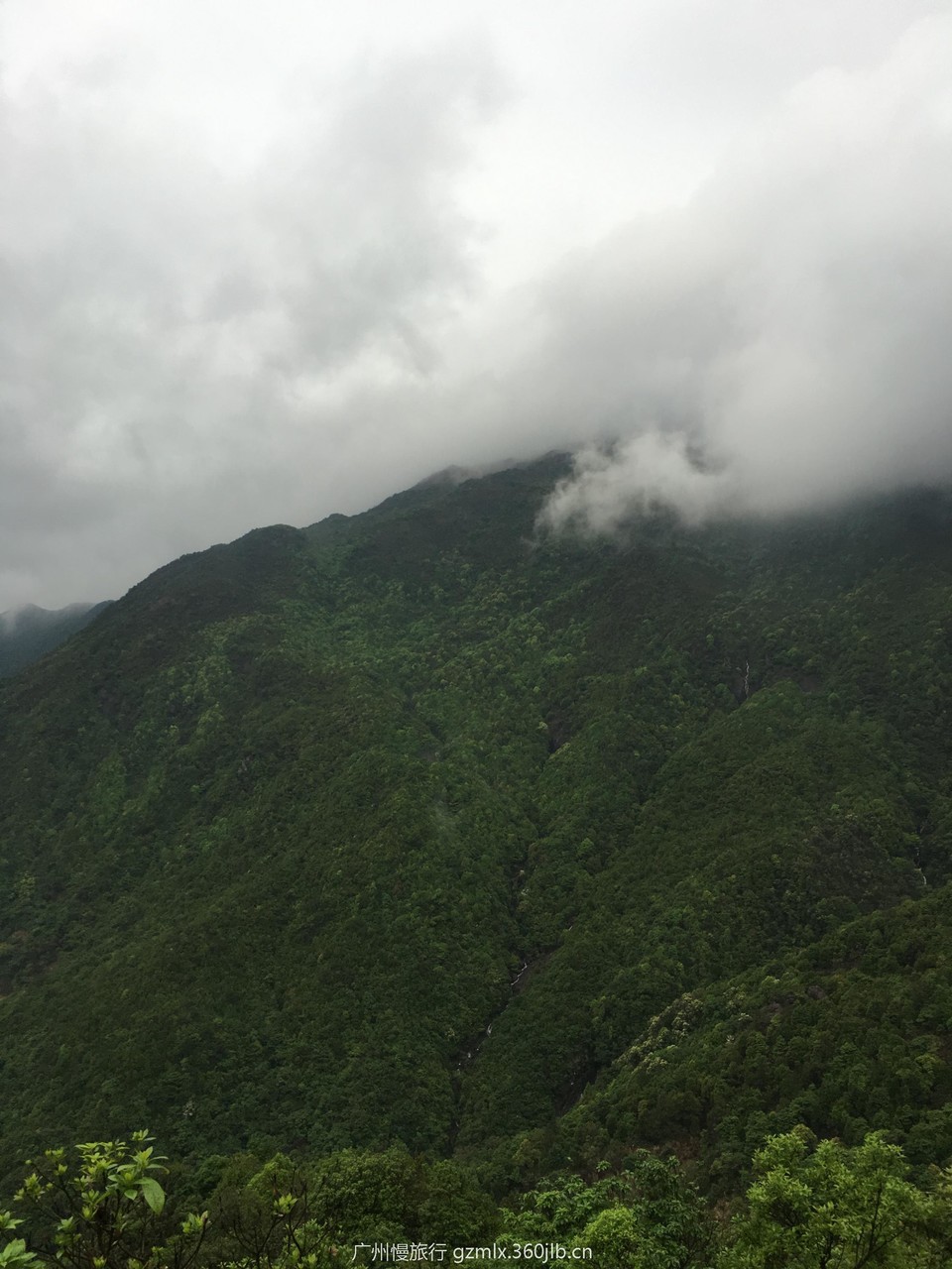 1a1653d4c1e377e0547a9f9a9f2b4654_org