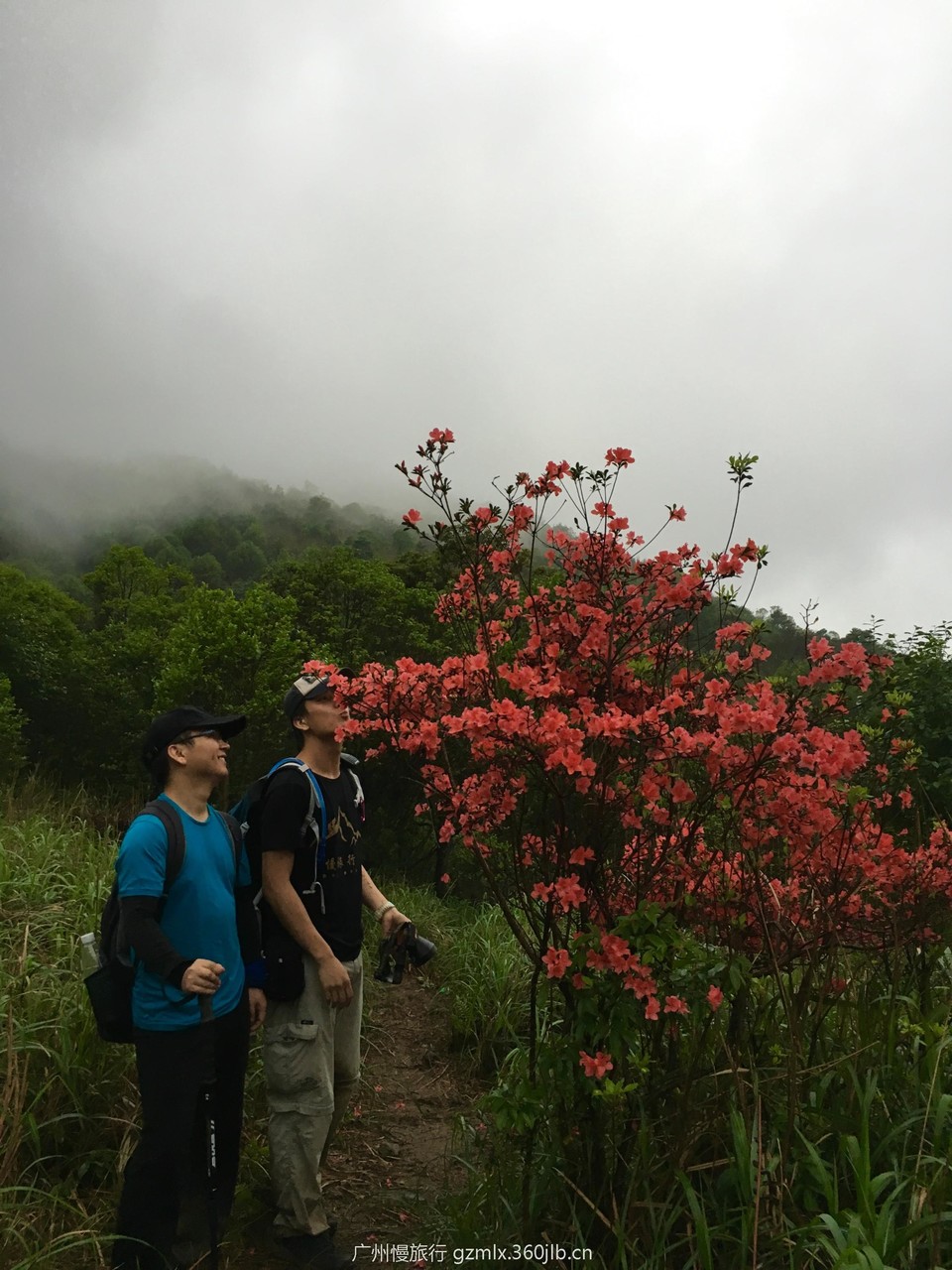 1e99dd7c43a2a16336349eca4632decf_org