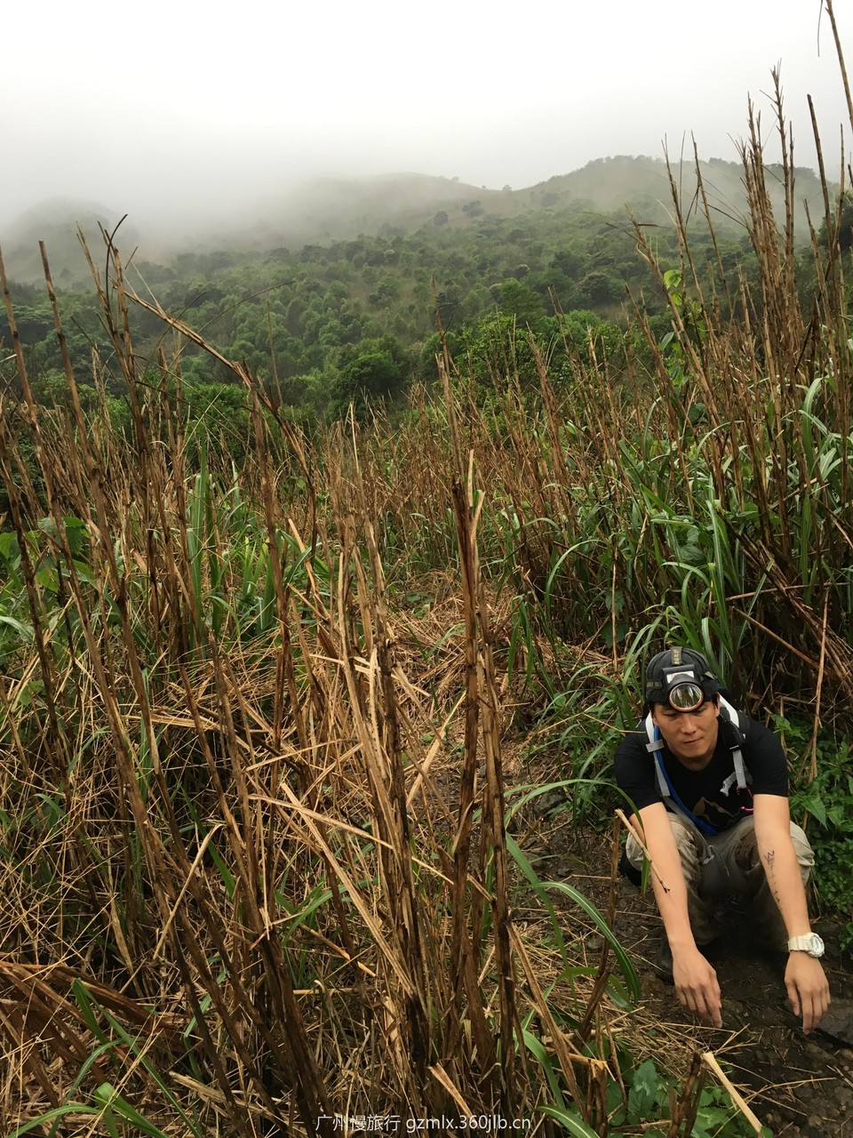 2dcaa6a313c3e467dba42715b232a6d3_org