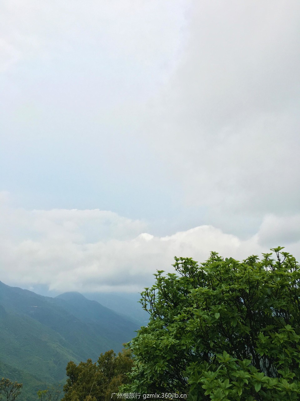 2cc4a704469870d92ba162cf15e49282_org