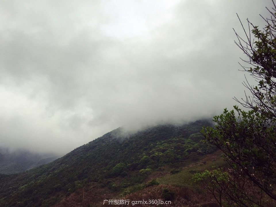 3ec5b174bf6fd950b5ac0dc2503e3eb7_org