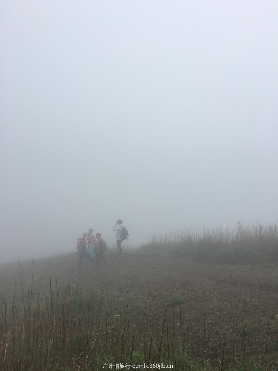 3efad62d5d505fe5a7a3d3e0b3c6a331_org