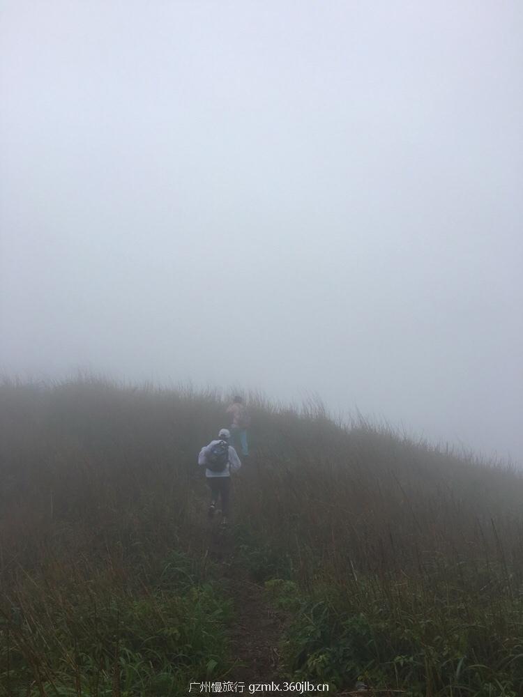 4d5b614a83e2576d3150399fe33740c9_org