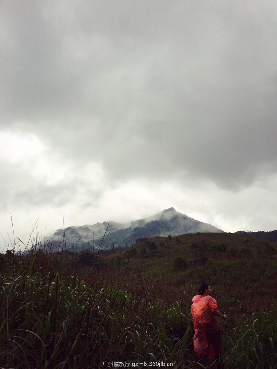 5d0c779416f11edaf75135072bf93cf6_org