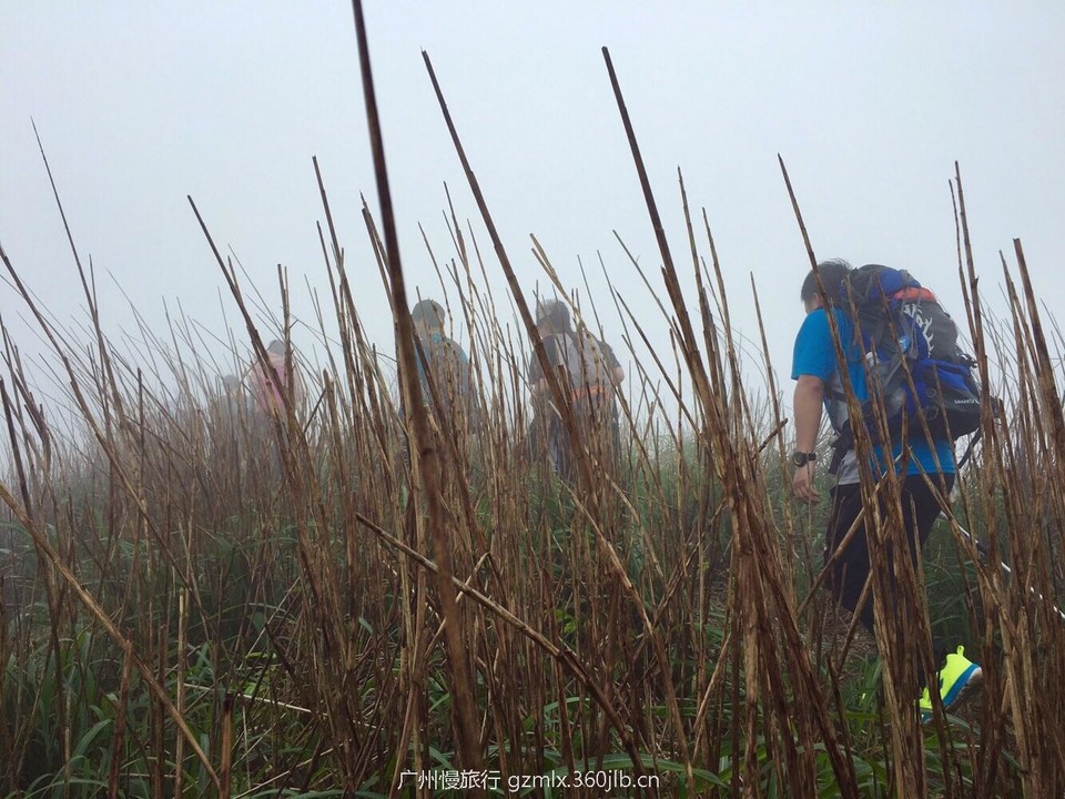 6c61dec5420679c995397c93af6fda99_org