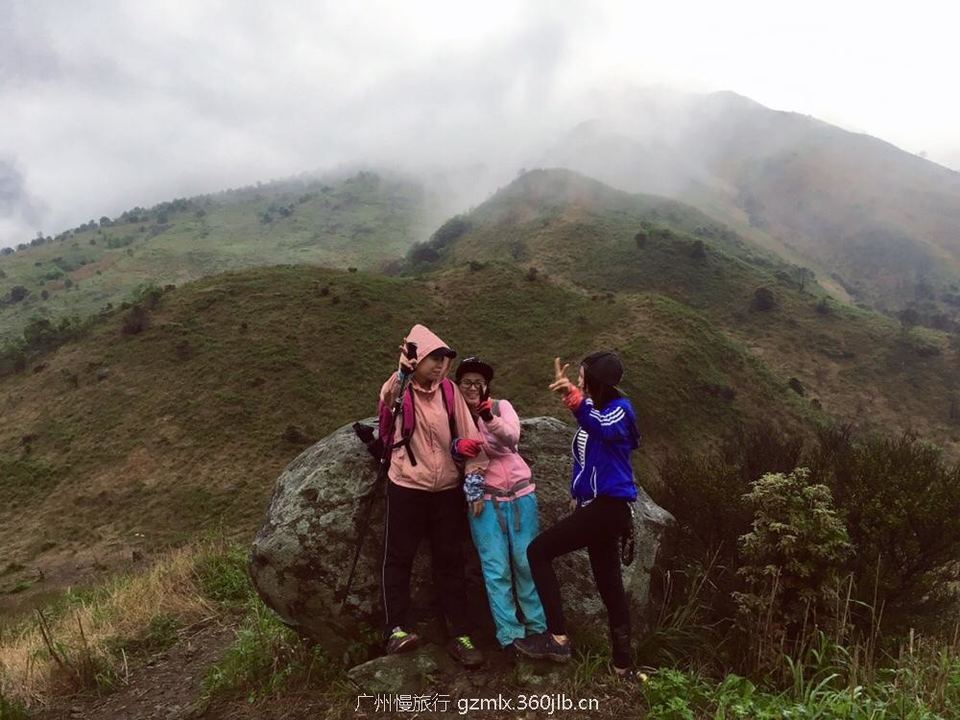 7edee62fb39a6ac08d85584a875d95c1_org