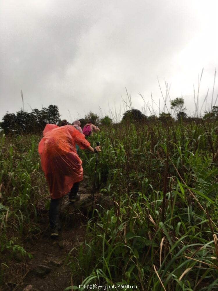 7ef7a14b3e9847daa787c6be2666197f_org