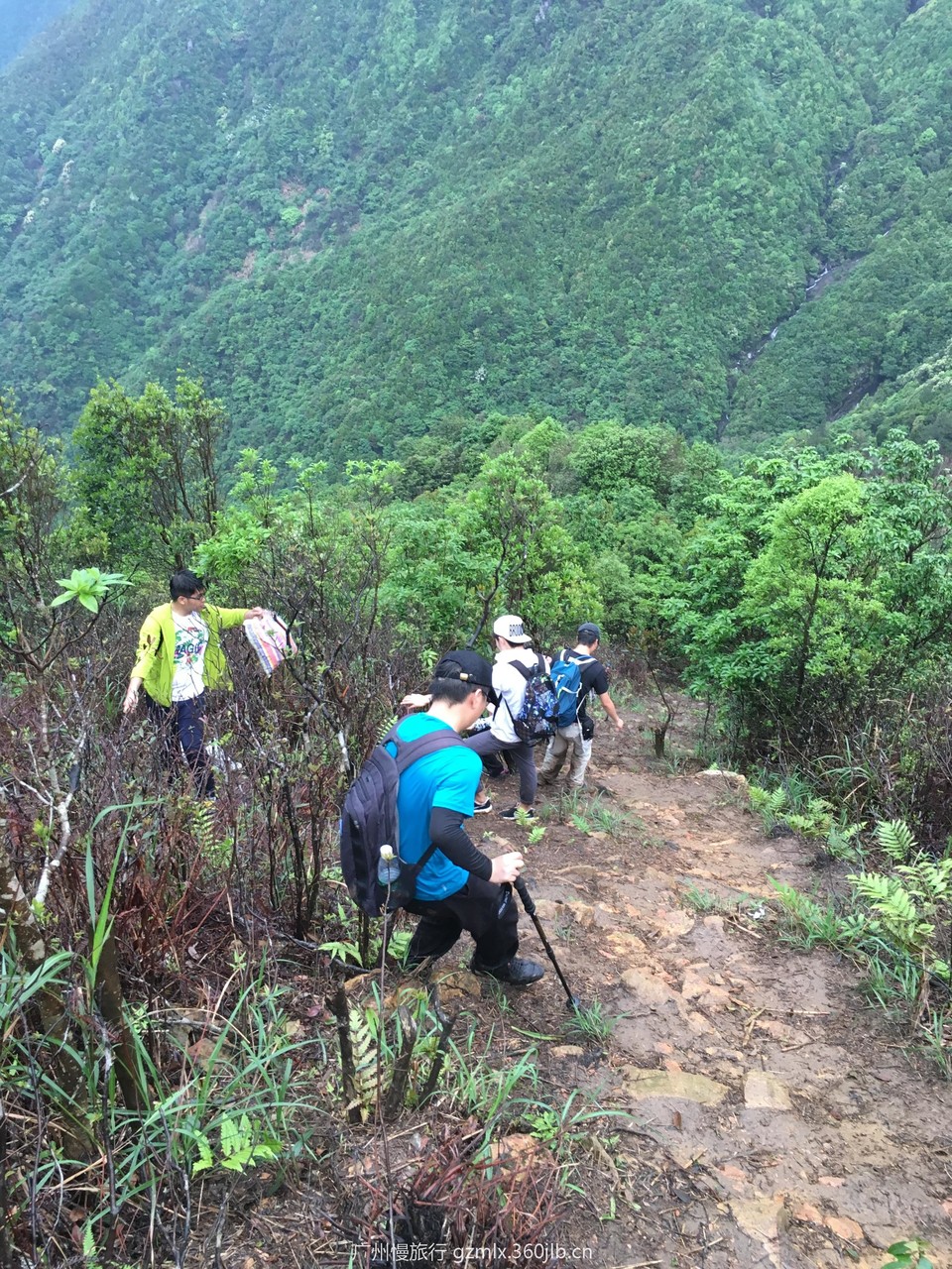 9c318e99a77ed1273db447239b8375d0_org