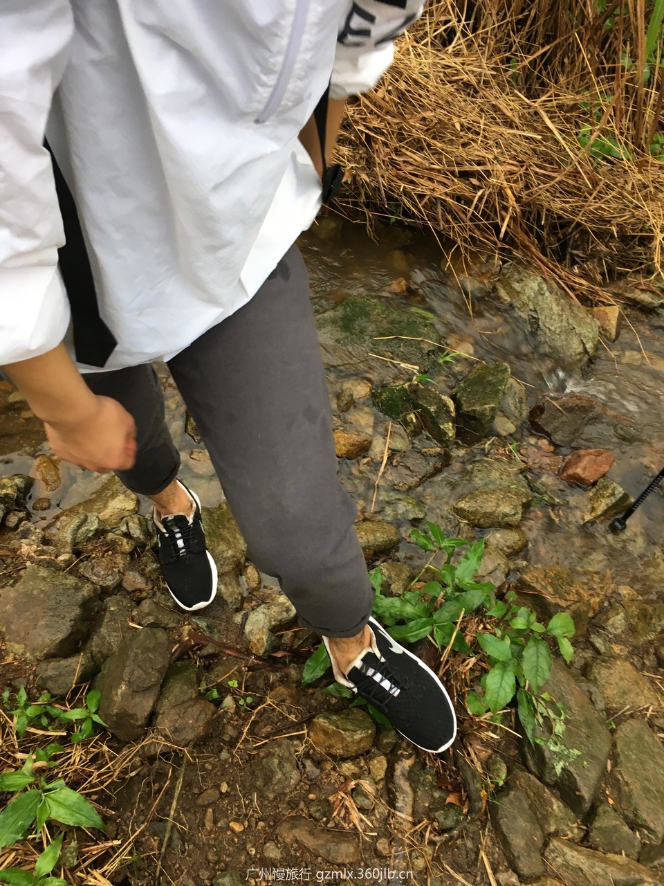 9eaa3f92486e620aaf8cbf26743006a9_org