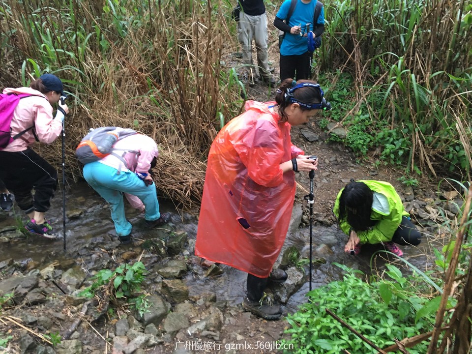 55c2ea03826f07899f8b725712587aa3_org