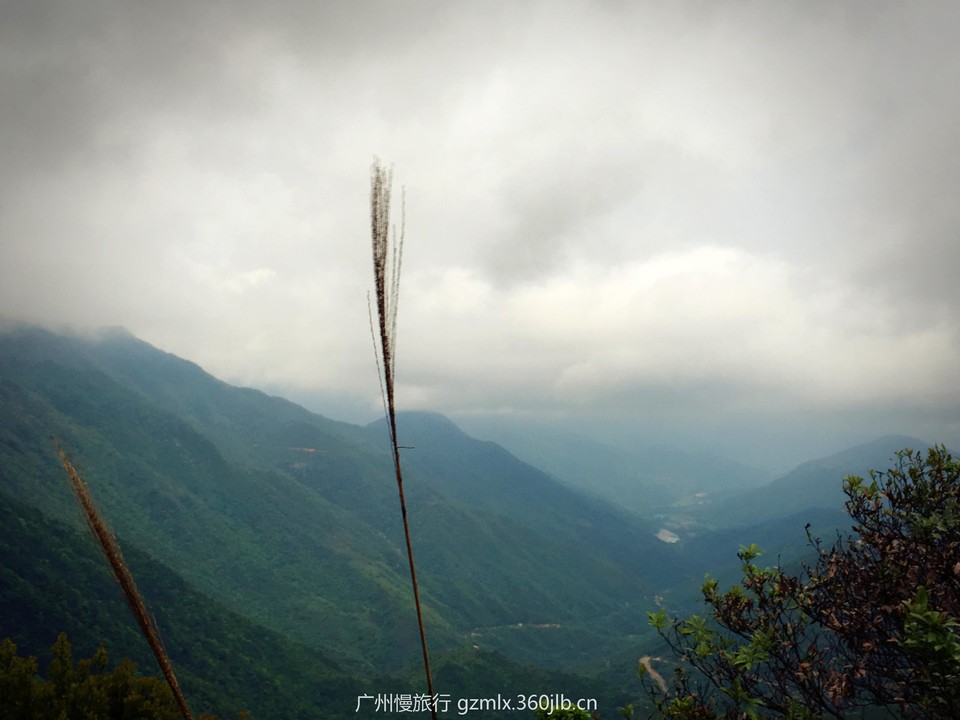 63c5bd921e5d5edc0c79d90b2c6c1487_org