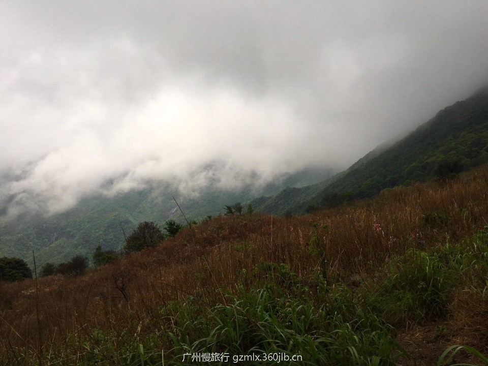 69b37a19db5bb2aae031b3857a8fce04_org