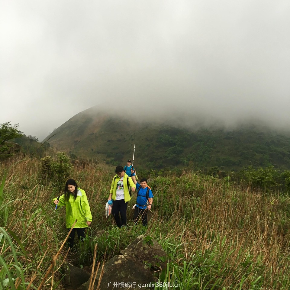 77d64b47d10c287e18847c86c0e22207_org