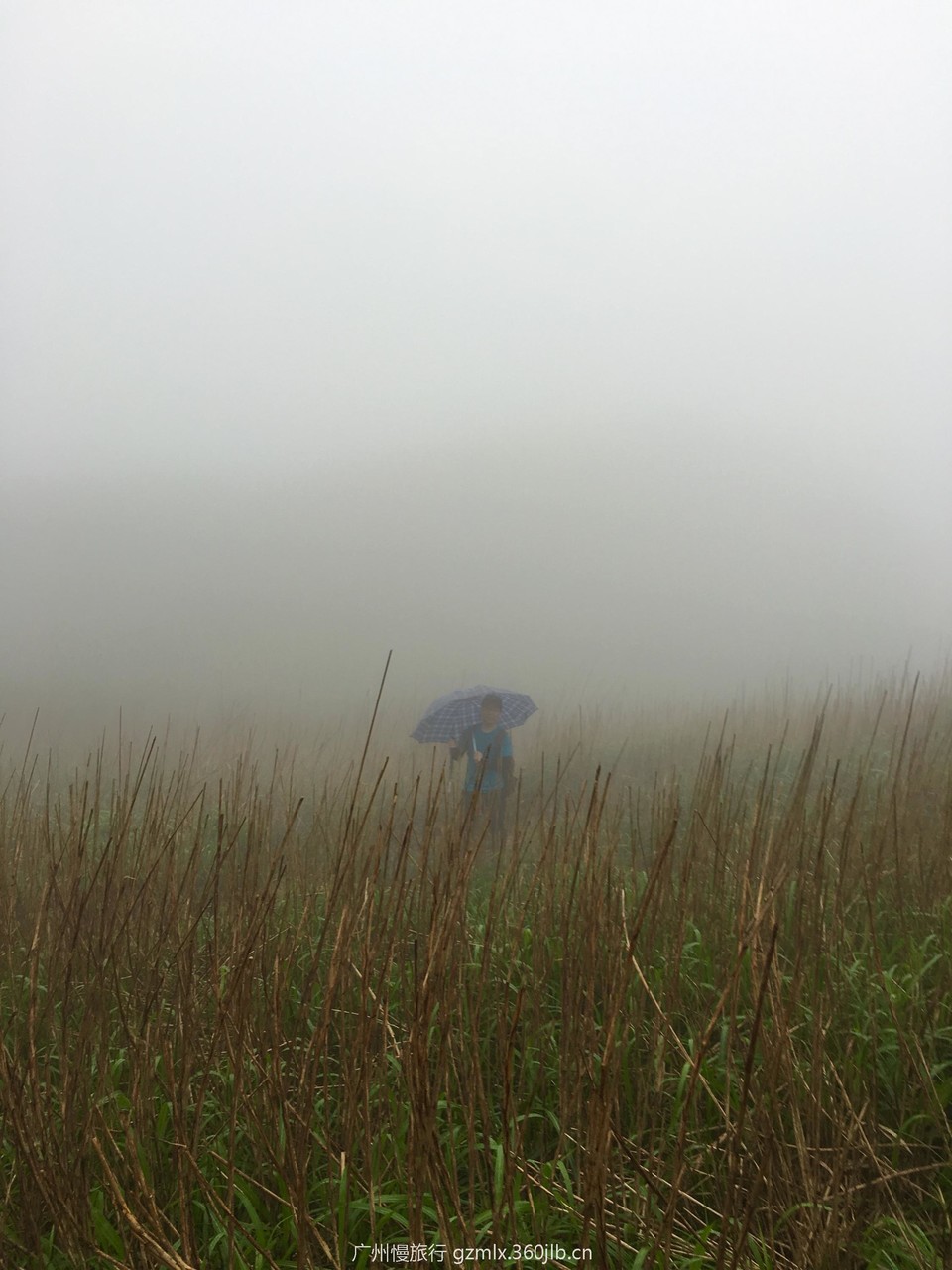 77da78be7ec14d175bf1348211f2f0e5_org