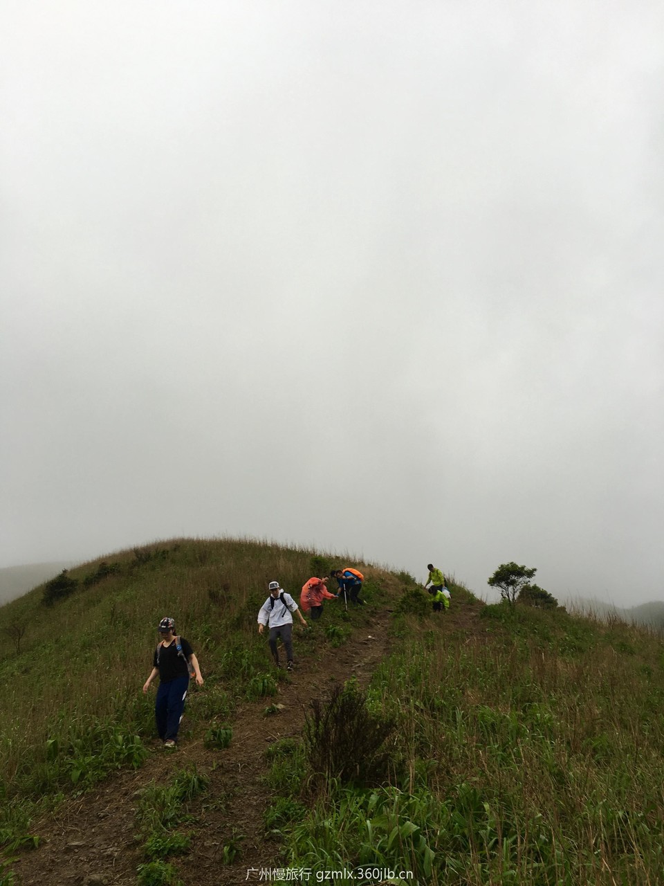 82fa4cba0e8c8a2c112cccbf6a789c22_org