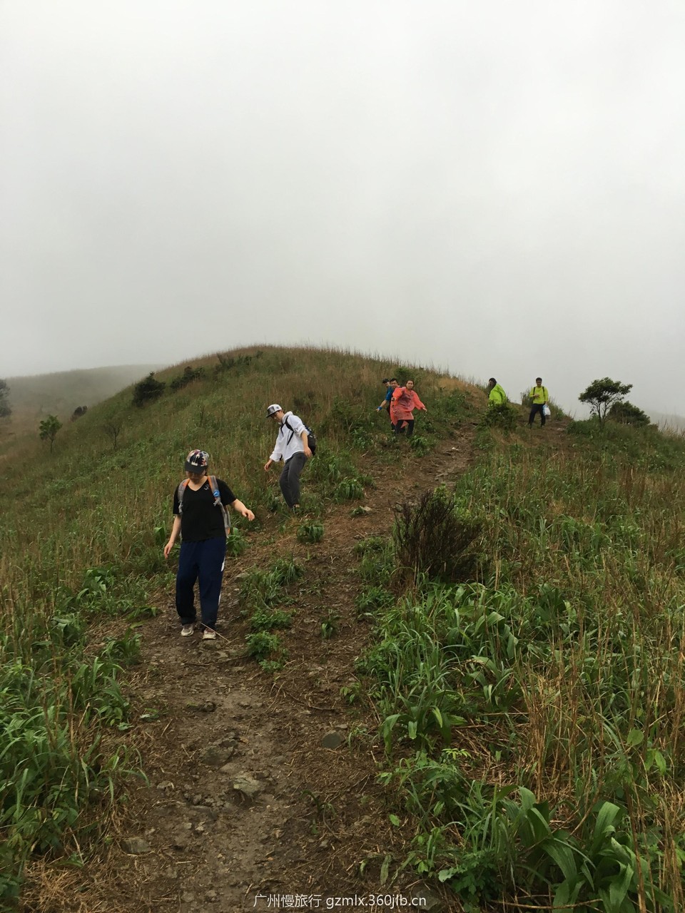 464e50a73b99a6f7ed731a18b1089d49_org