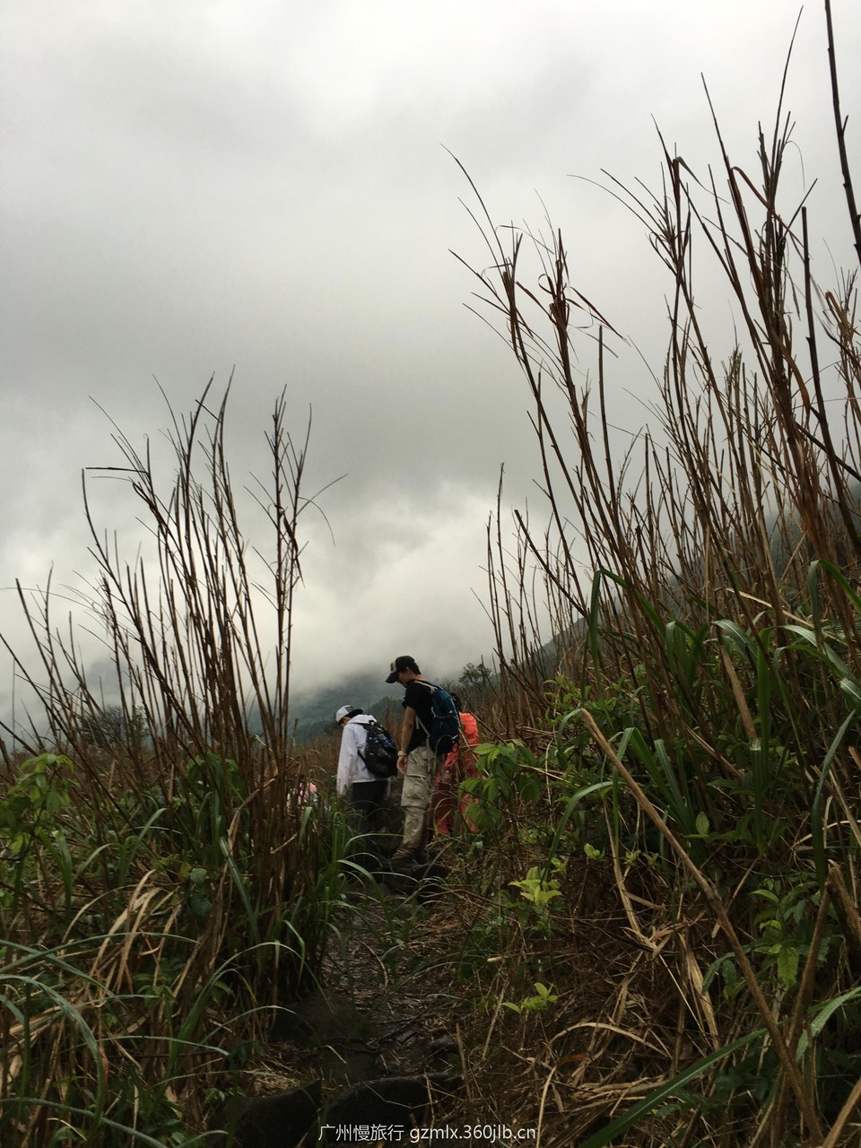 487f295c9e9c3a9e2d81bc07b05c717d_org