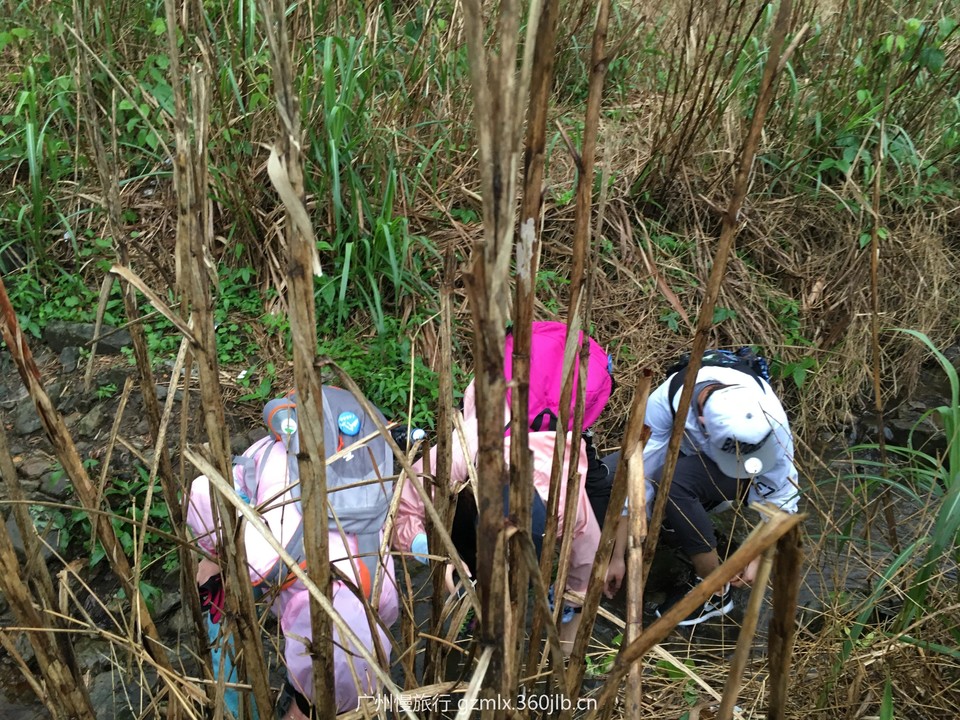 563a18273d27b9475f4146b78bca6d66_org