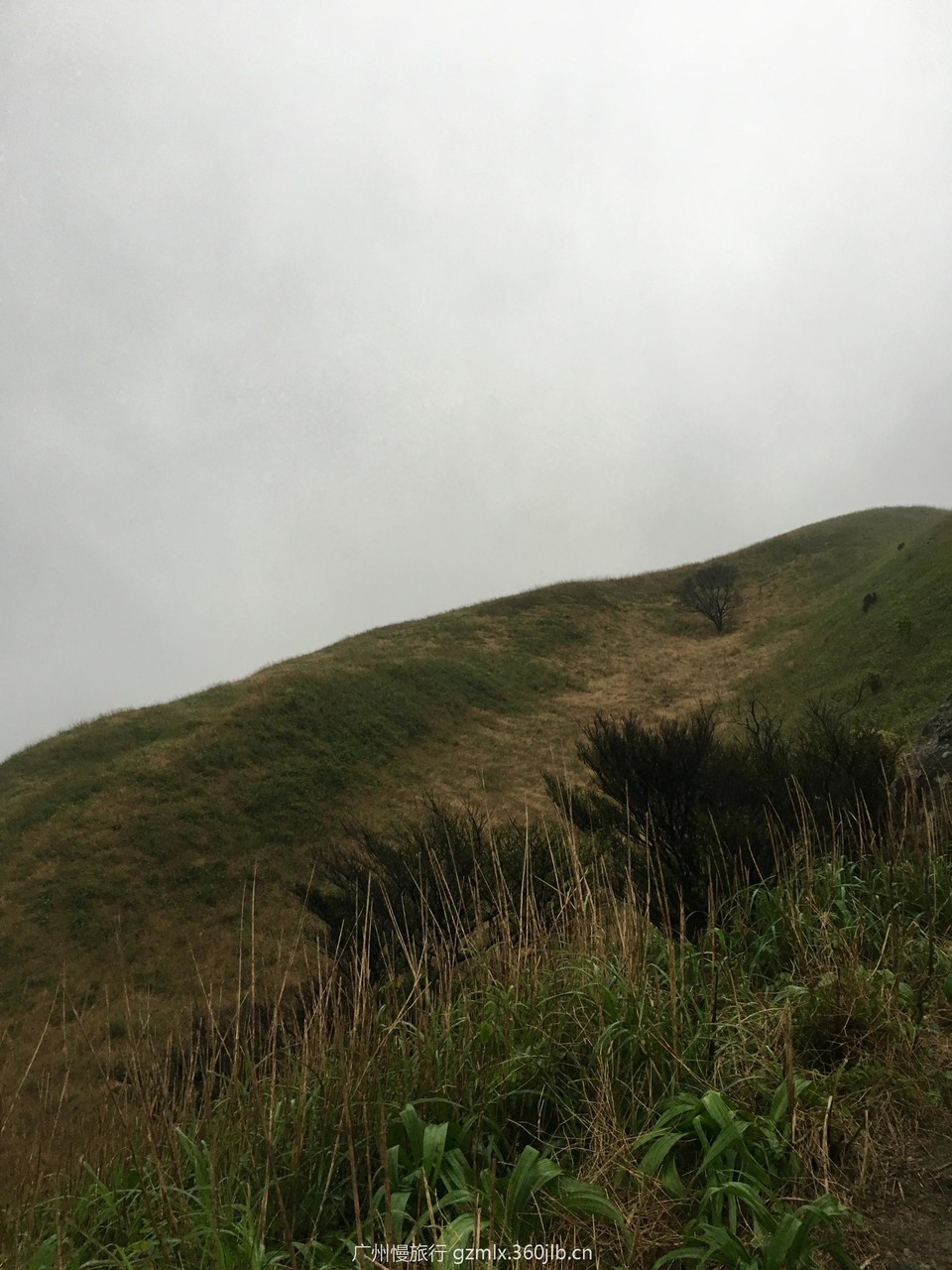 588e57f987ecfa561374811caf8aaa5c_org